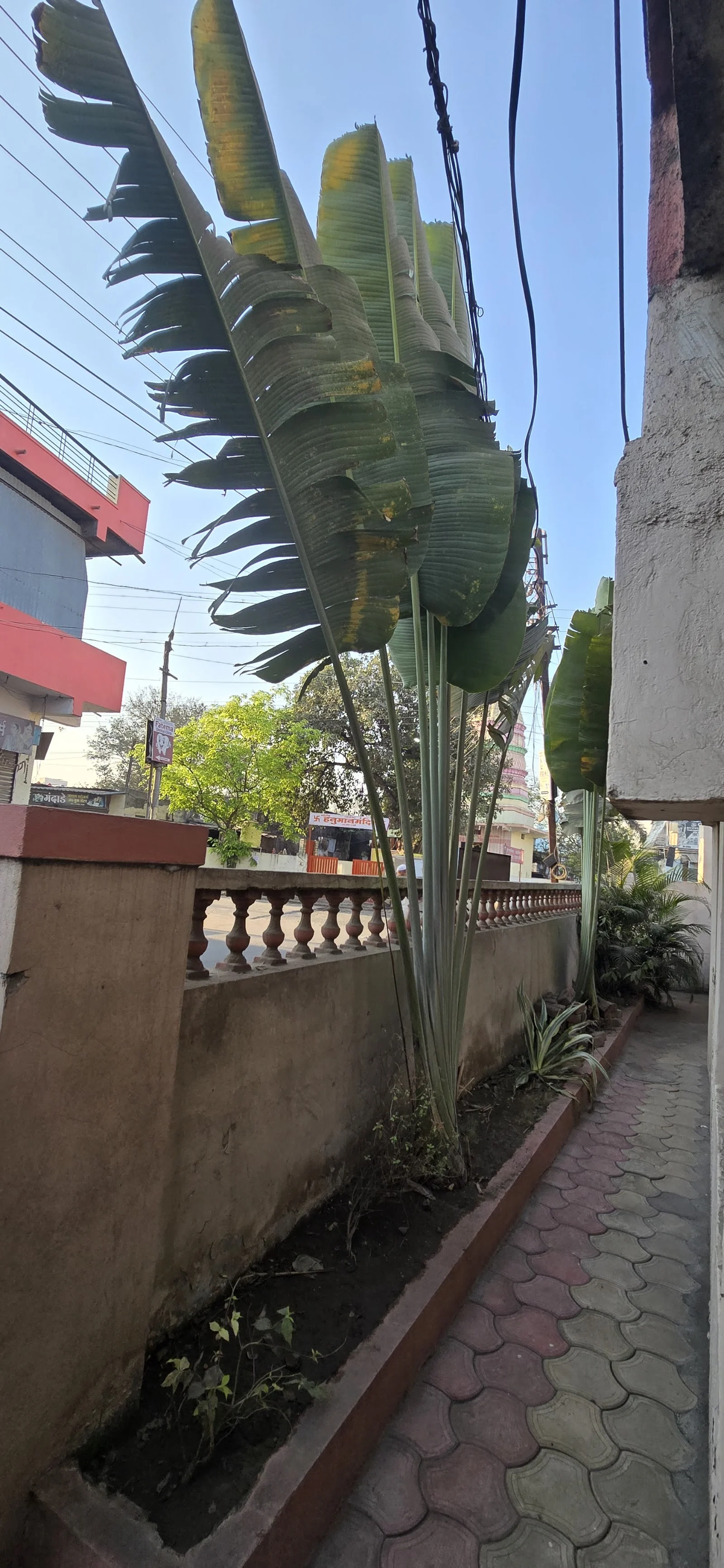 Parbhani gallery 6
