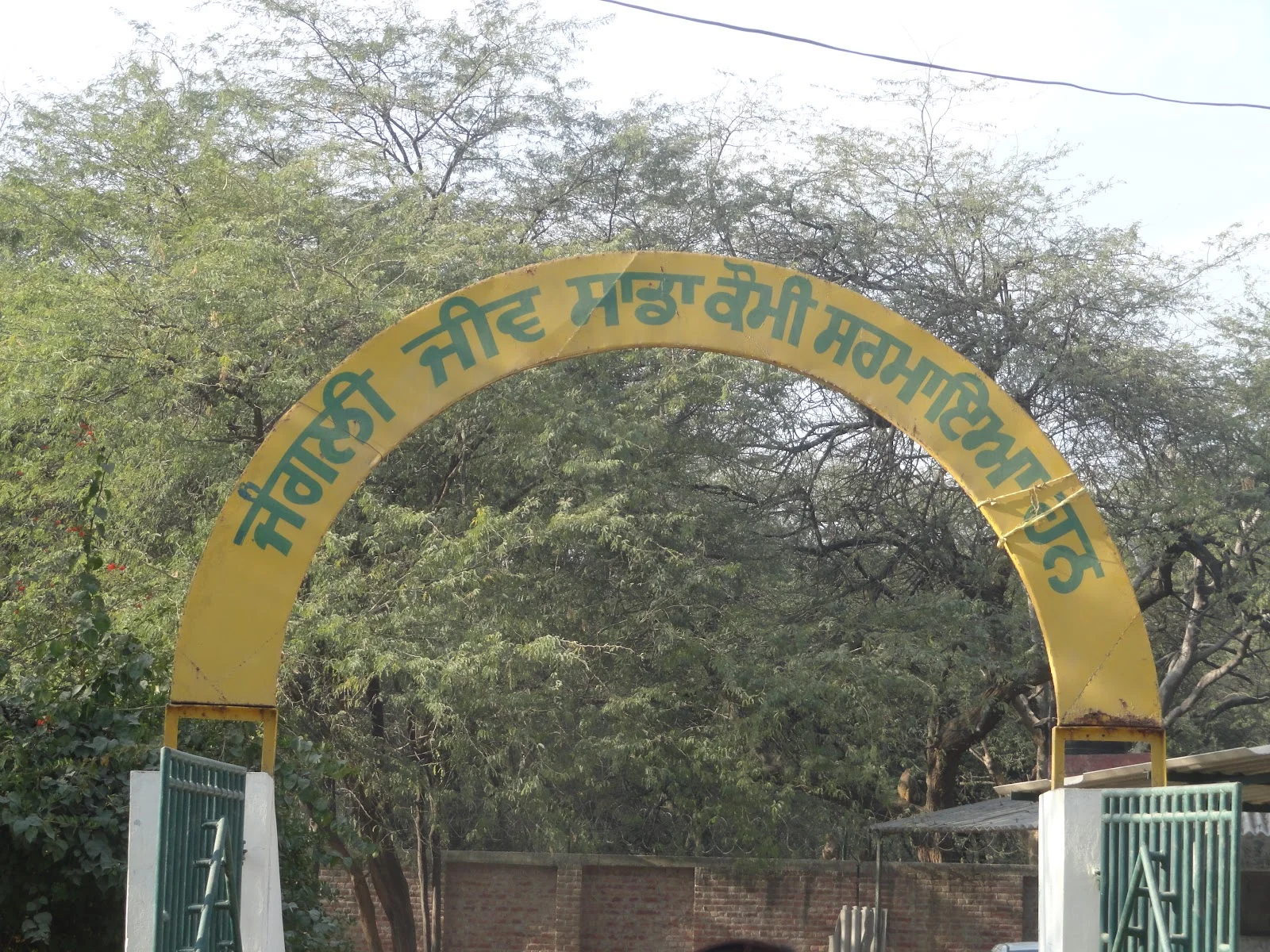 Patiala gallery 3