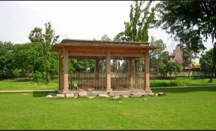 Patna gallery 7