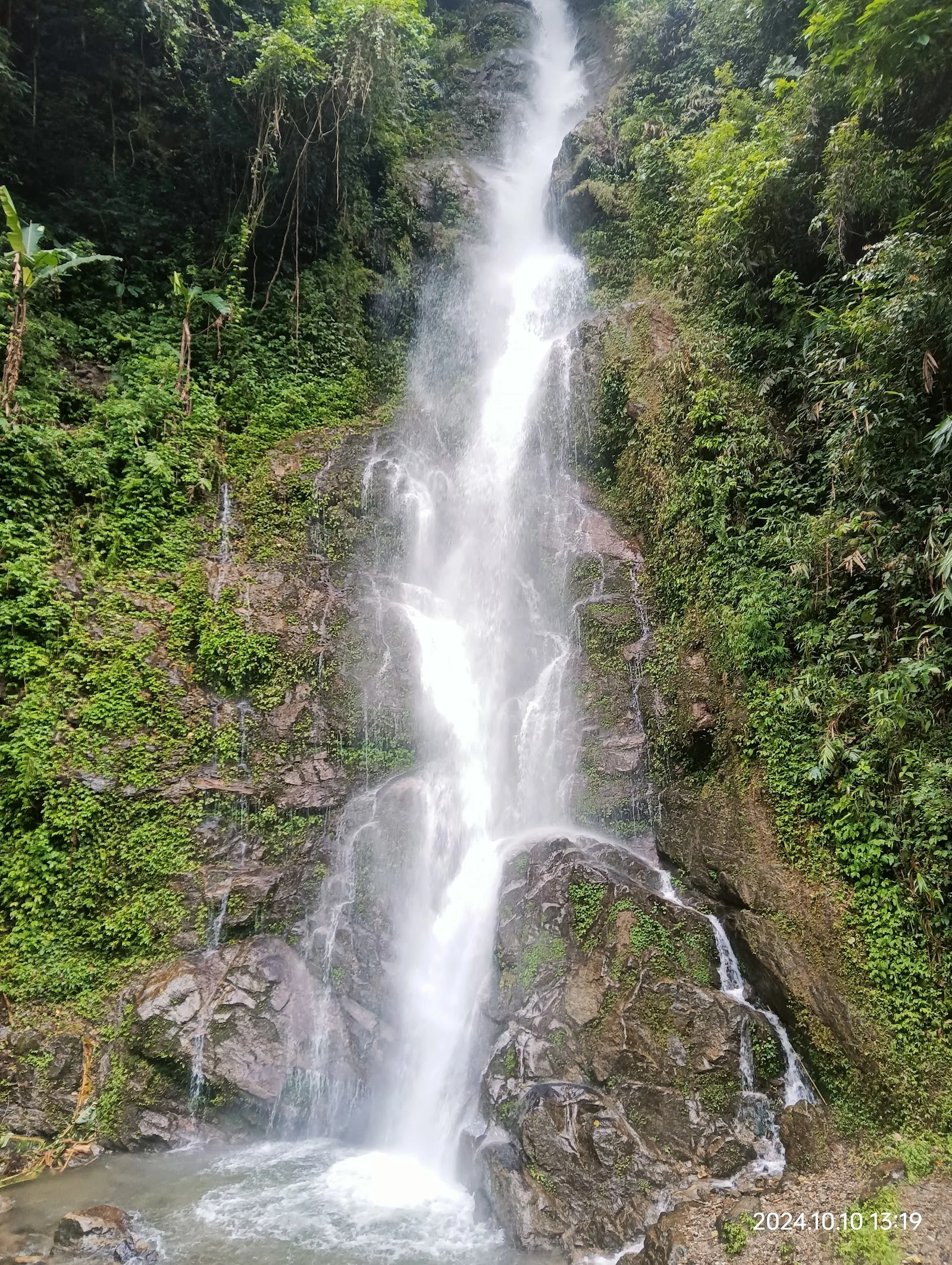 Pelling gallery 7