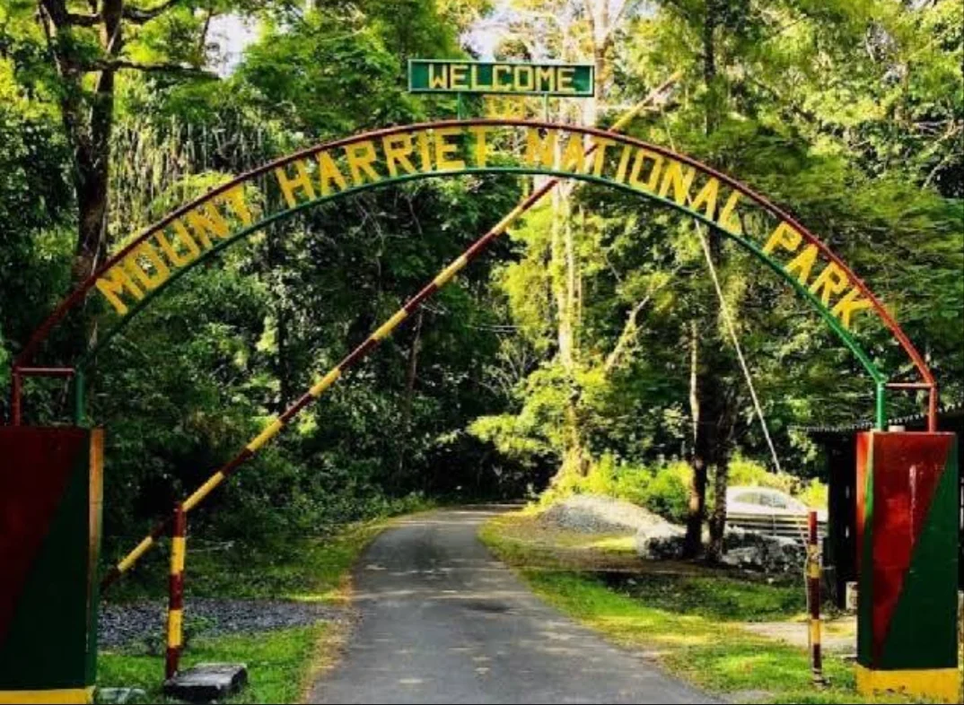 Port Blair gallery 5