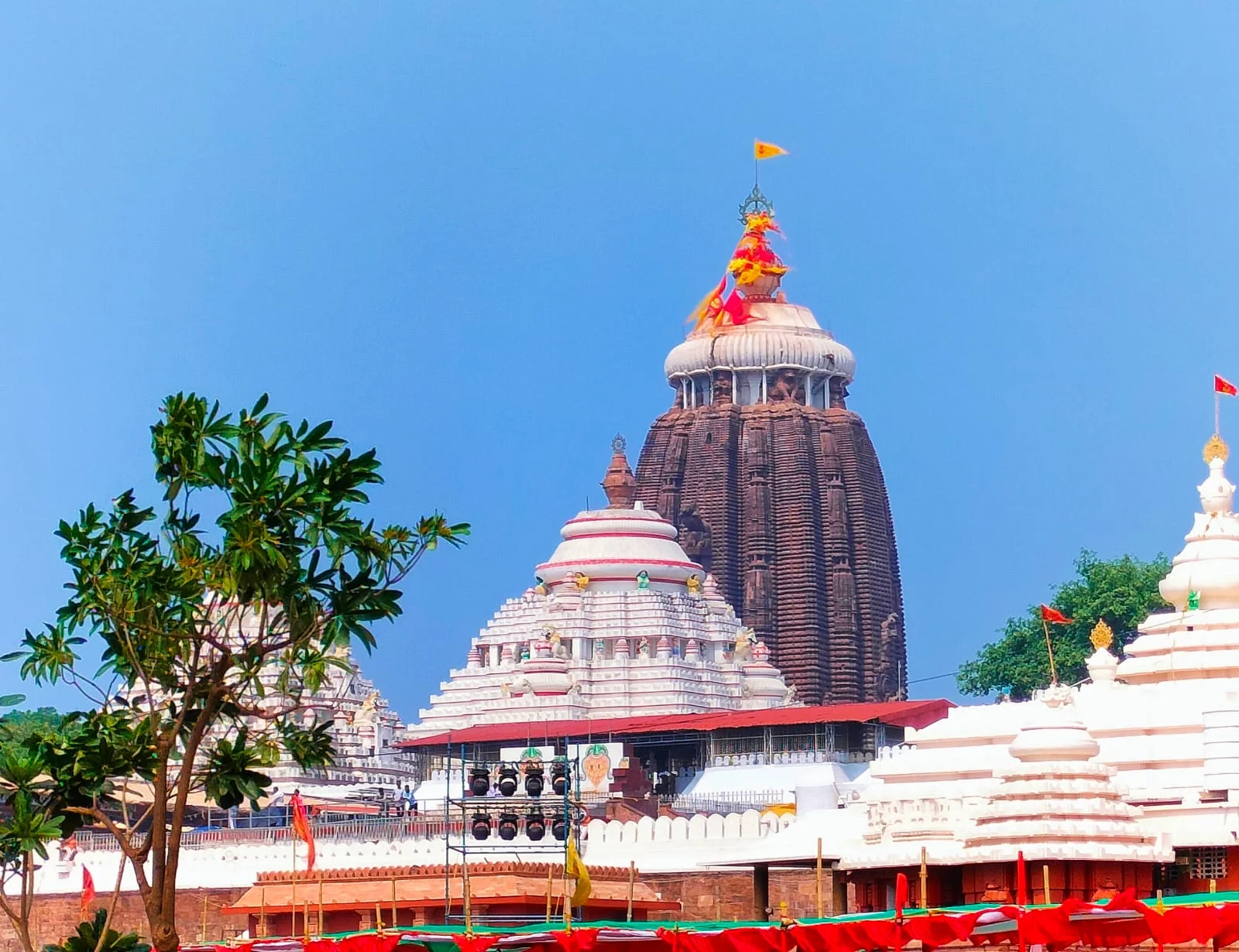 Puri gallery 7