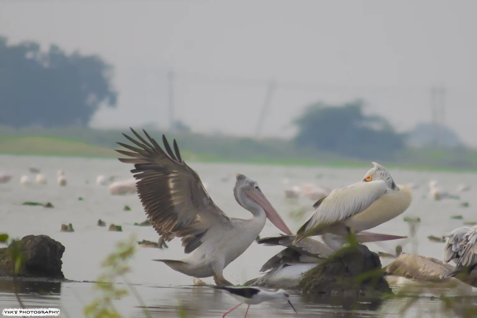 Raichur gallery 4