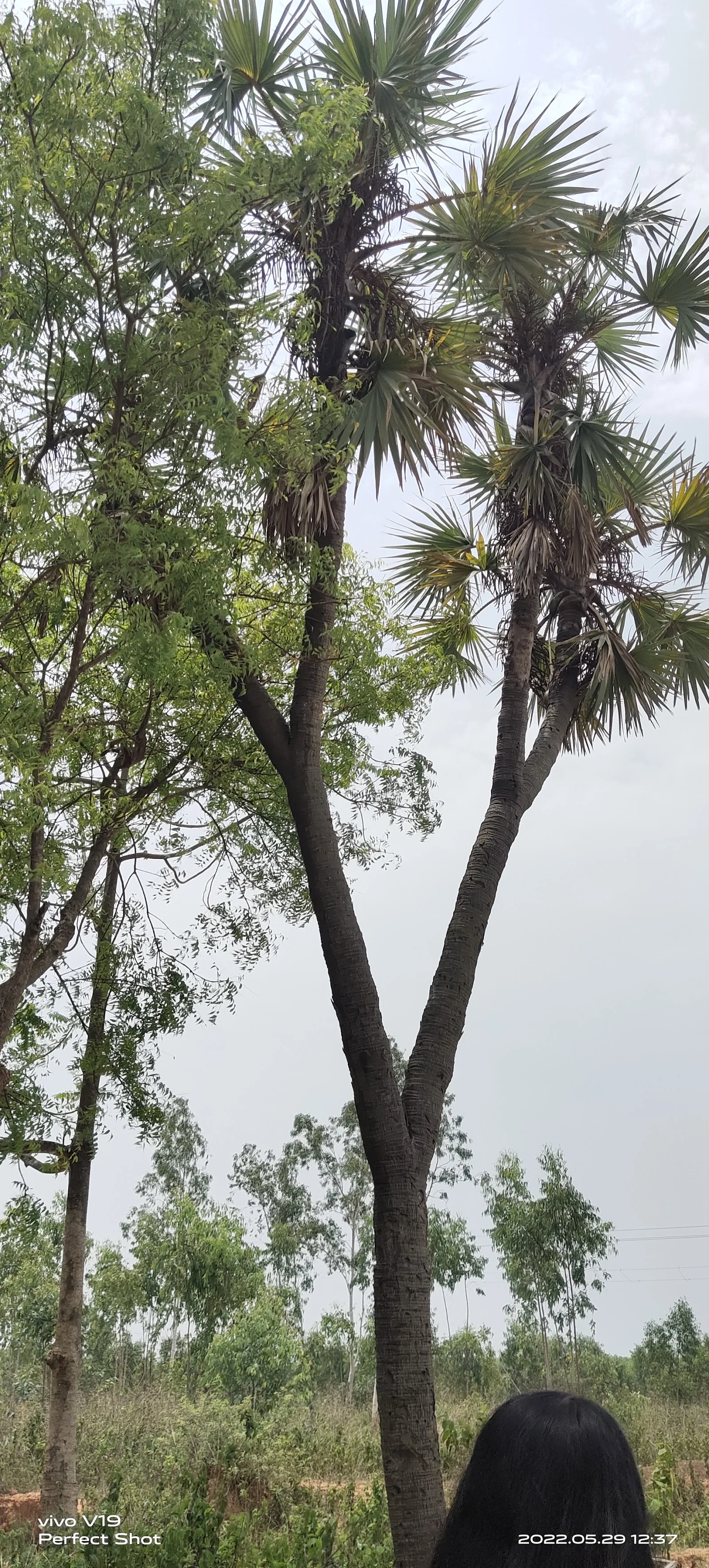 Raipur gallery 1