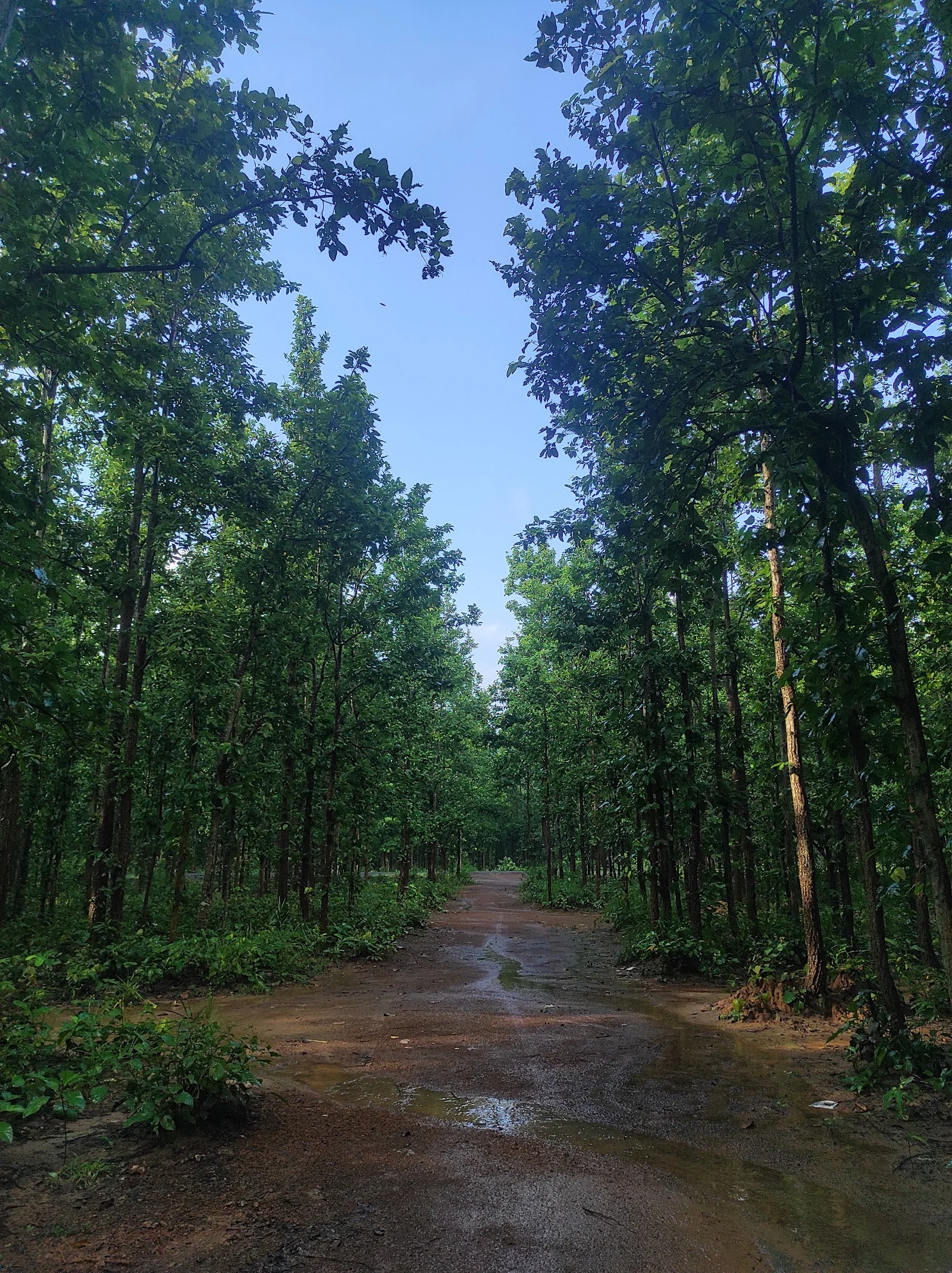 Raipur gallery 6