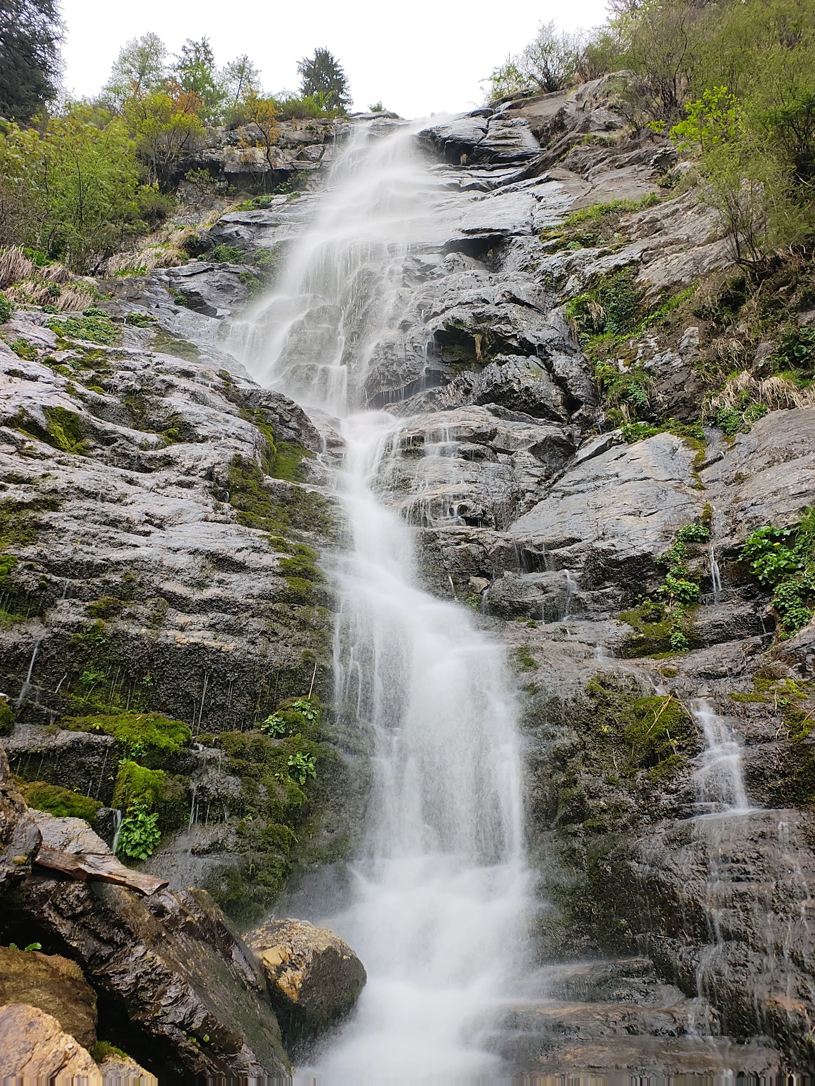 Rampur gallery 7