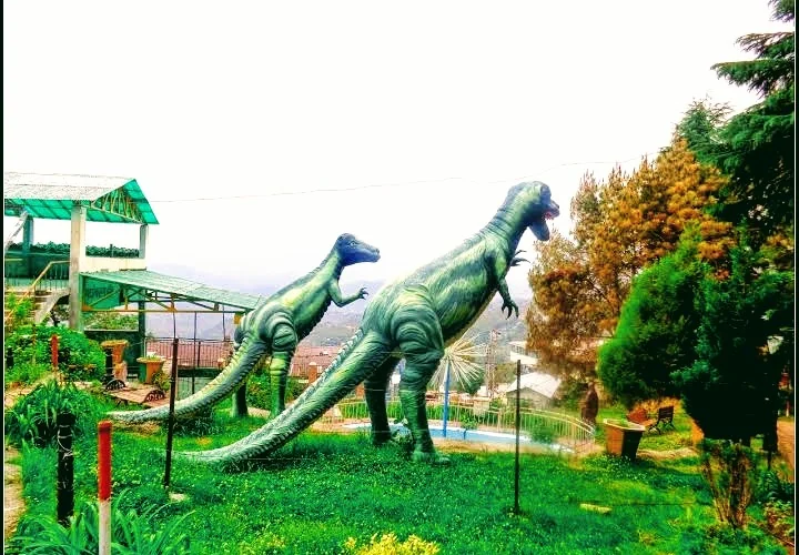 Ranikhet gallery 6
