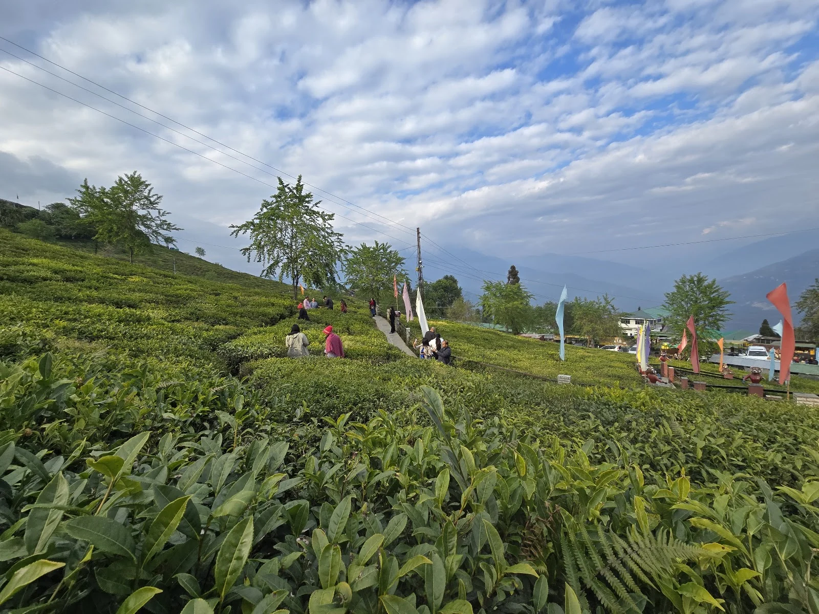 Ravangla gallery 2