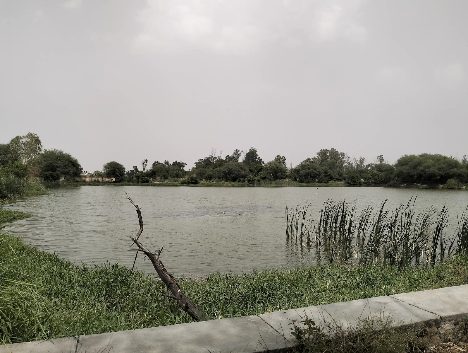 Rohtak gallery 1