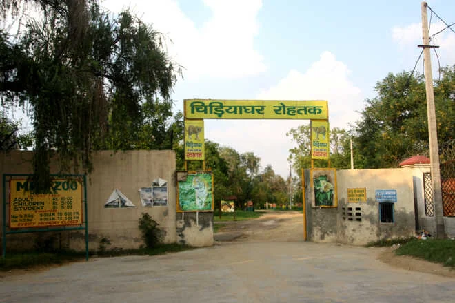 Rohtak gallery 2
