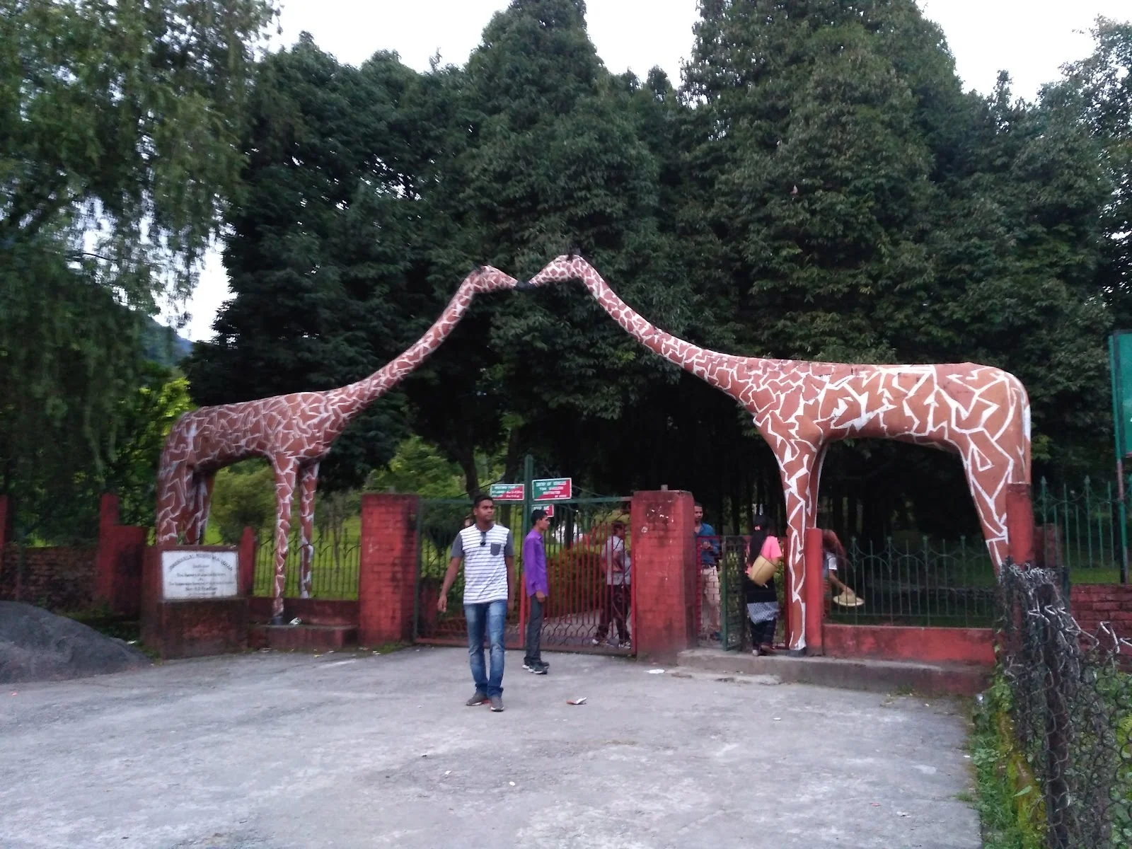 Roing gallery 2