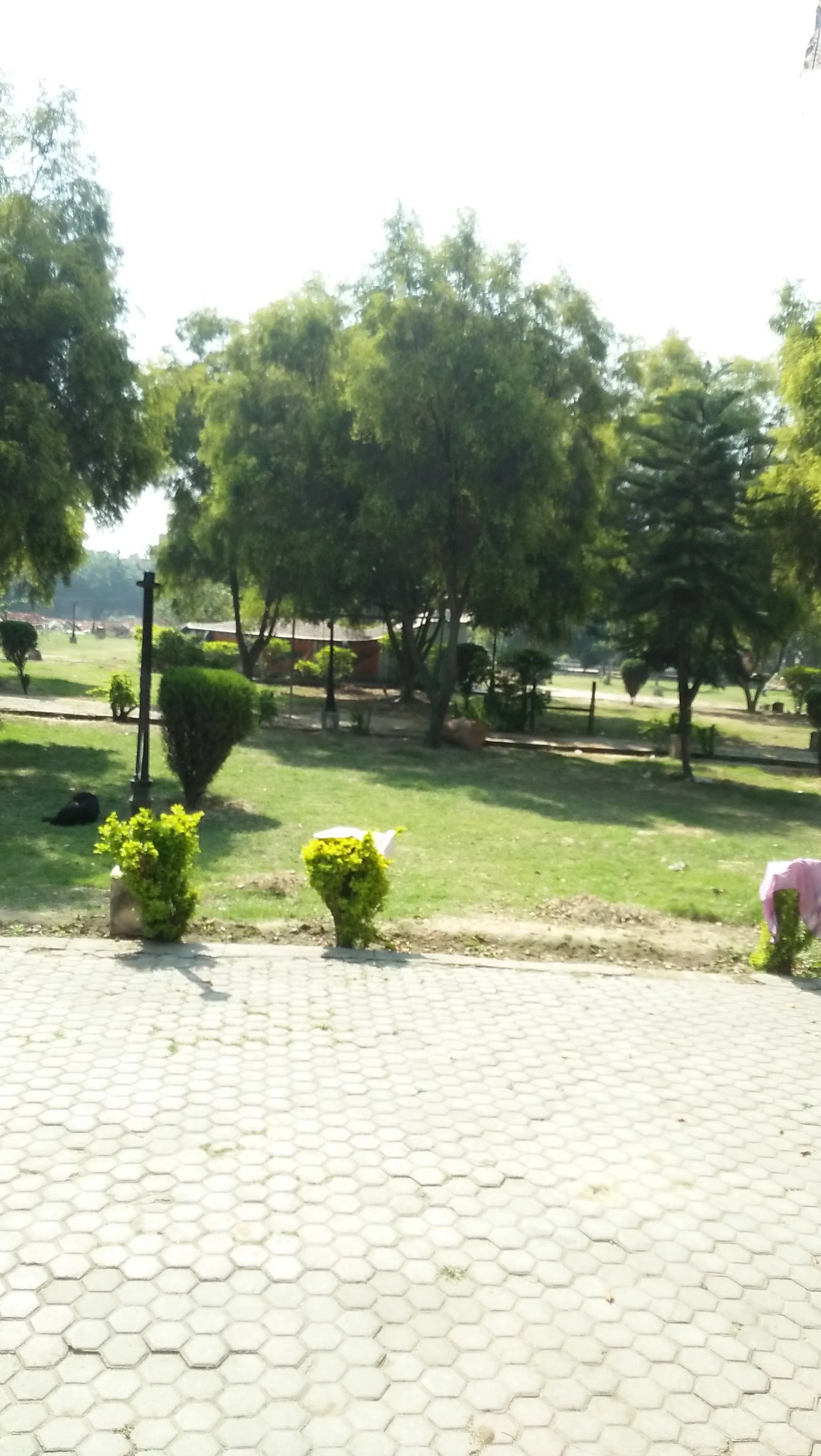 Saharanpur gallery 5