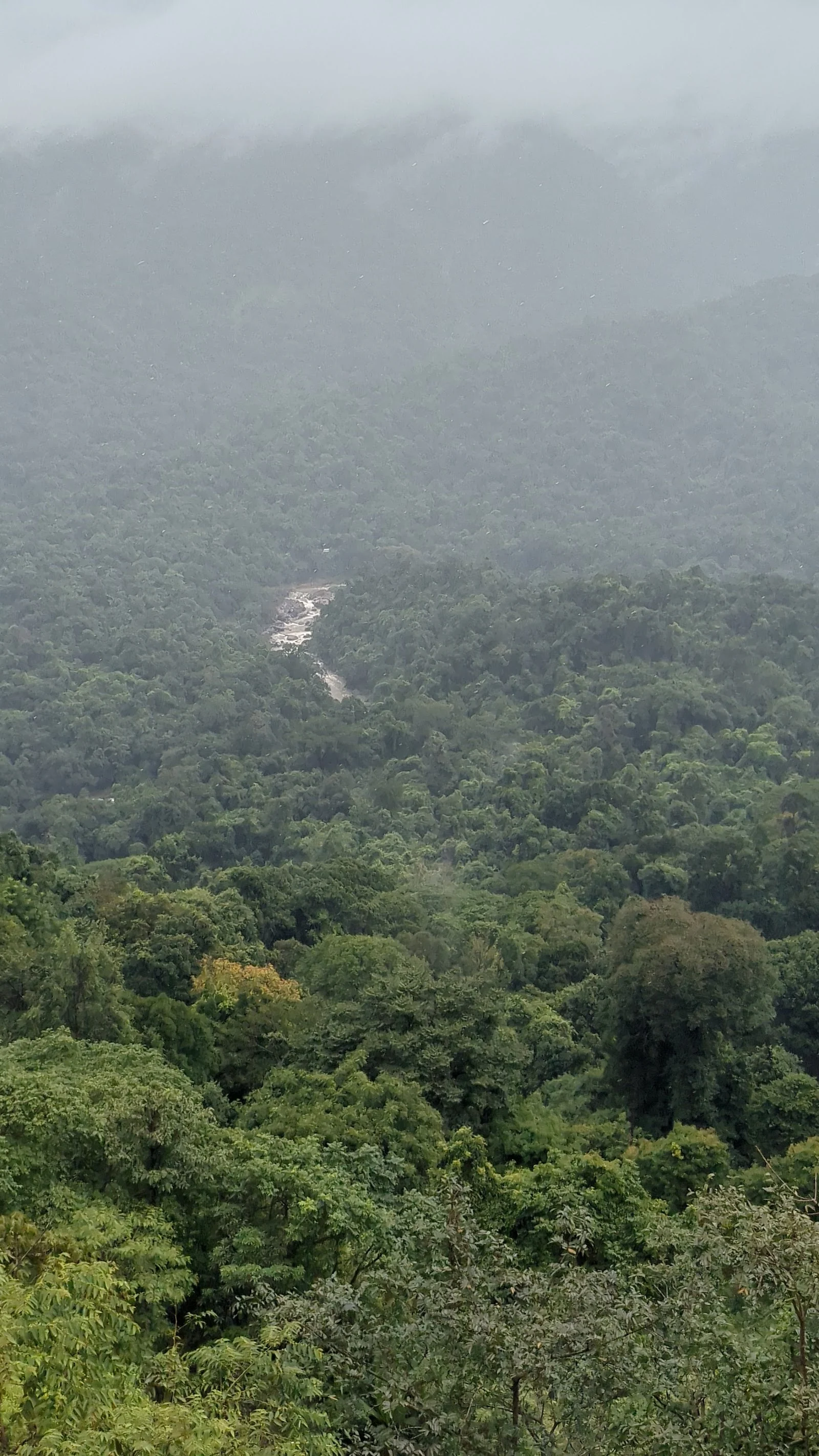 Sakleshpur gallery 6