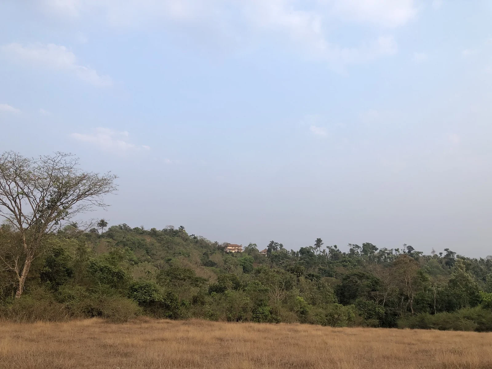 Sakleshpur gallery 7