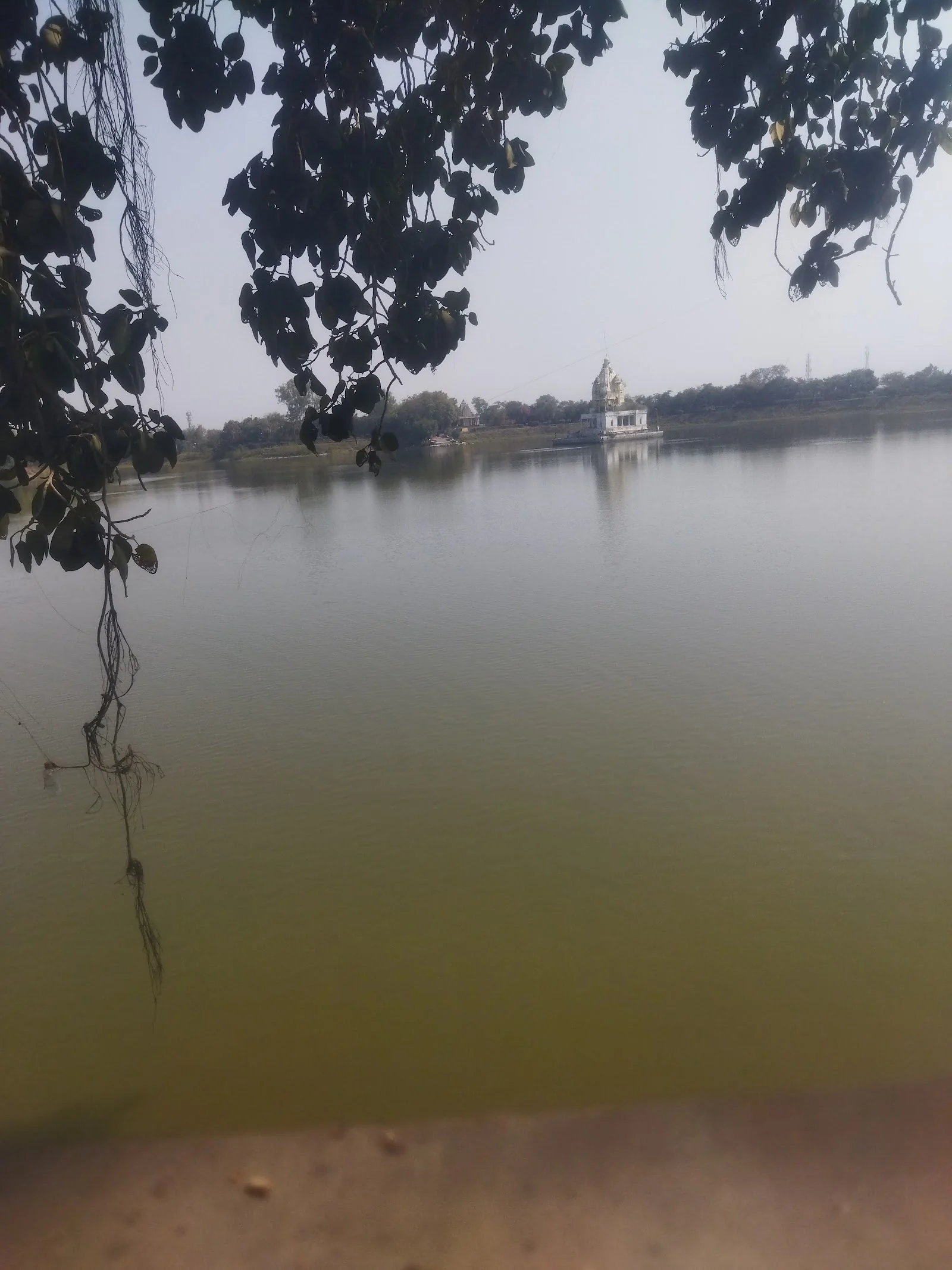 Satna gallery 6