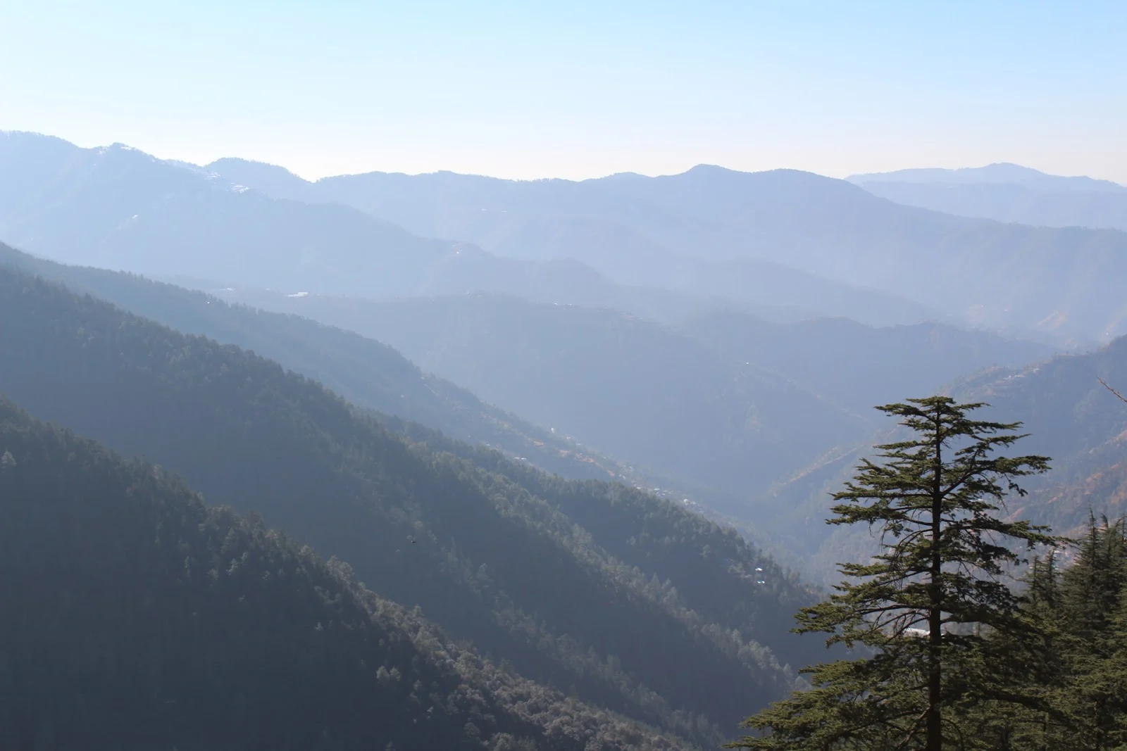 Shimla gallery 5