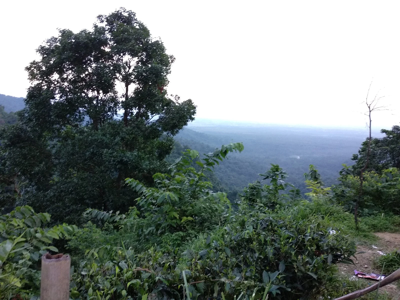 Siliguri gallery 6