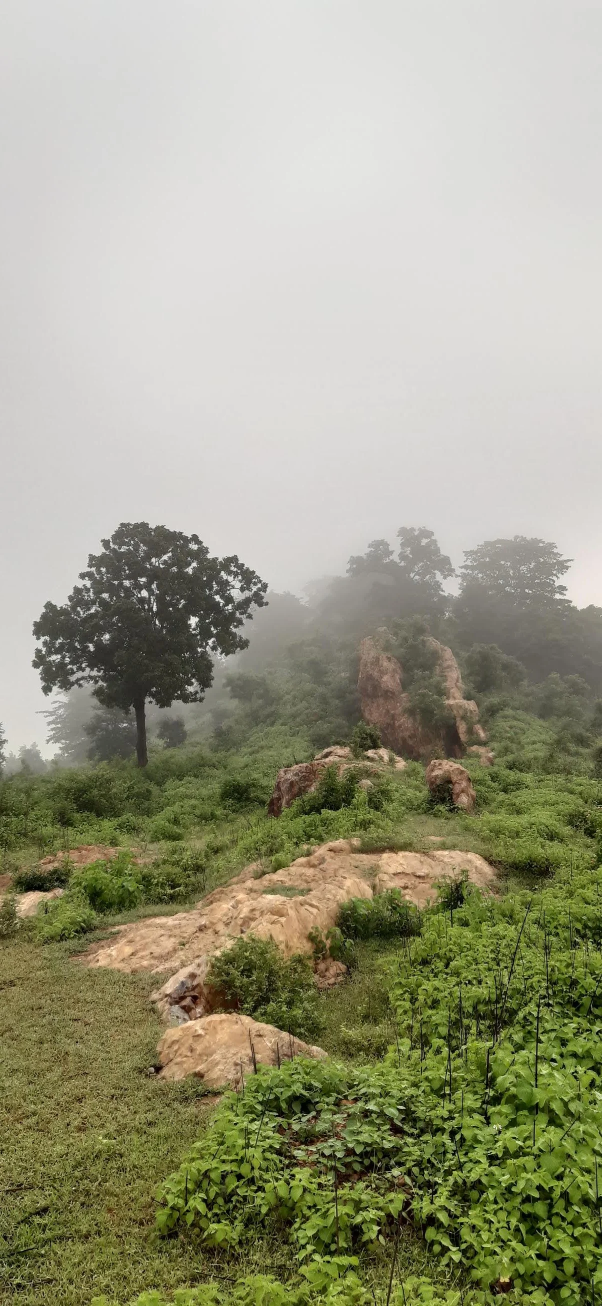 Singrauli gallery 1