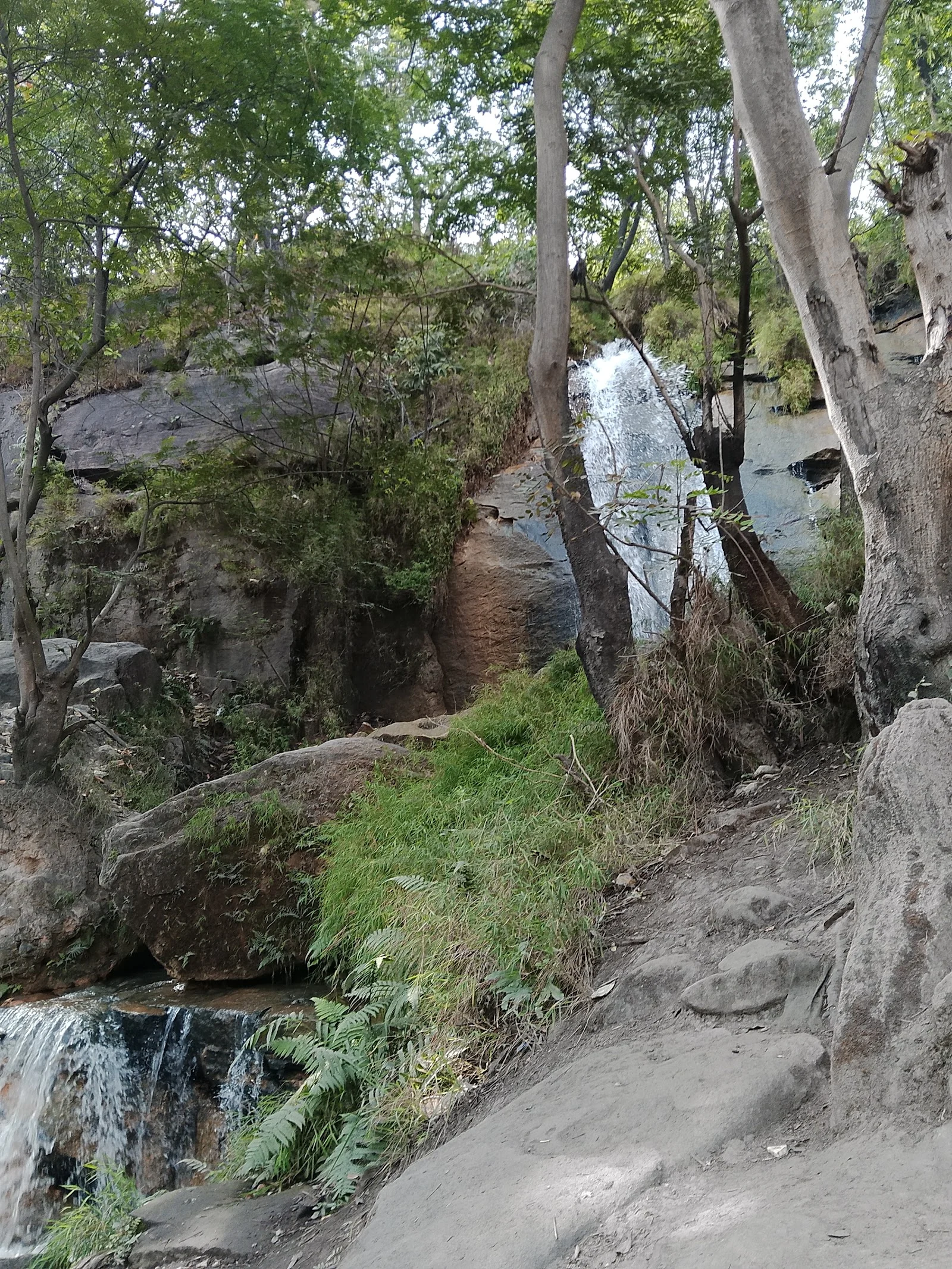 Singrauli gallery 4