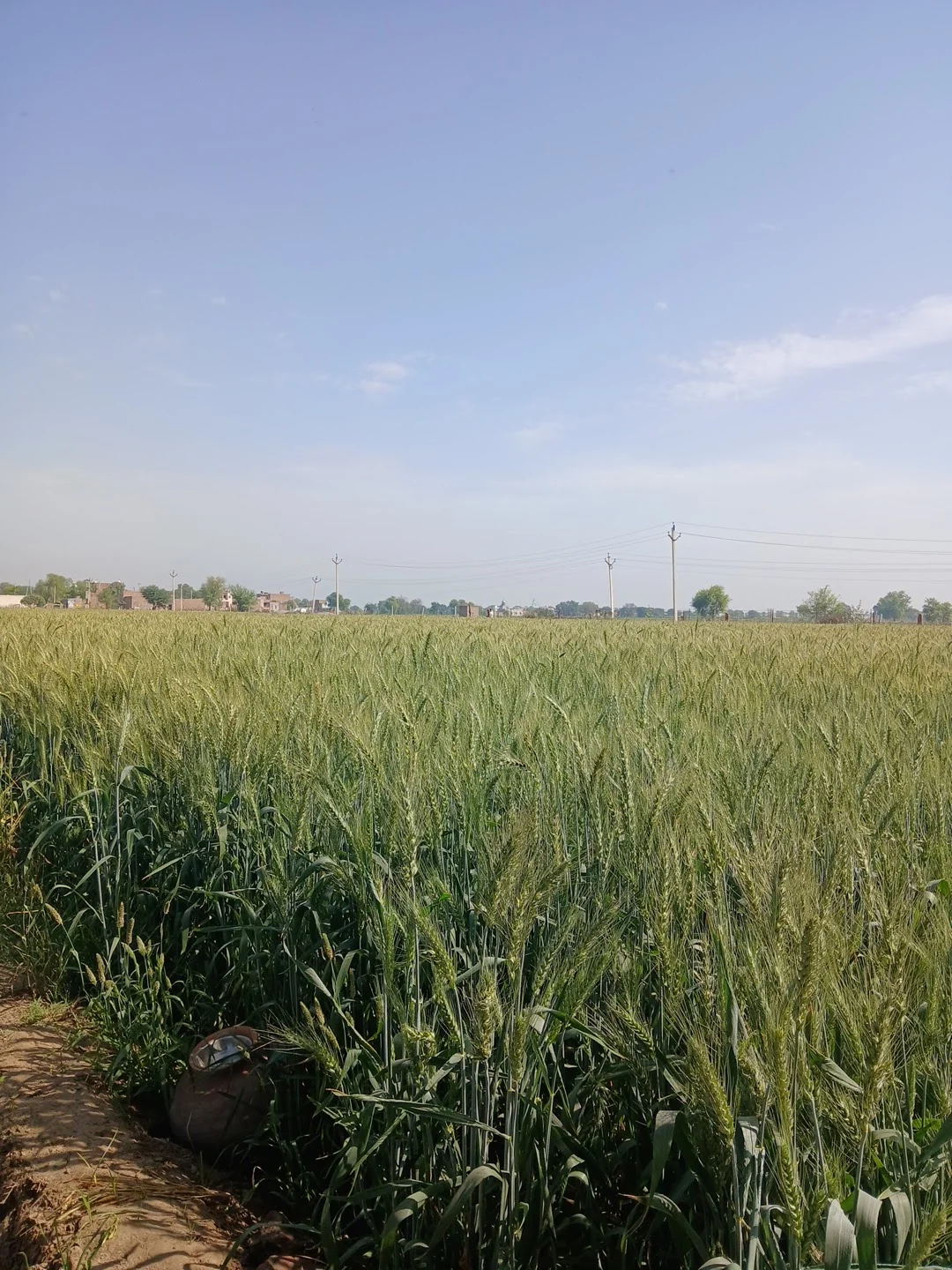 Sri Ganganagar gallery 5