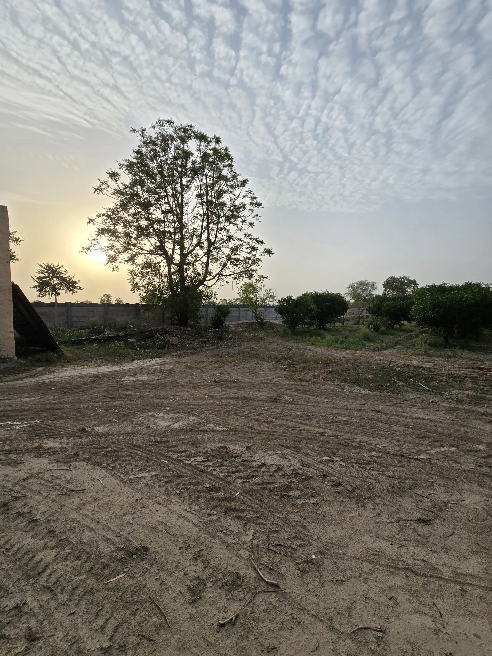 Sri Ganganagar gallery 7