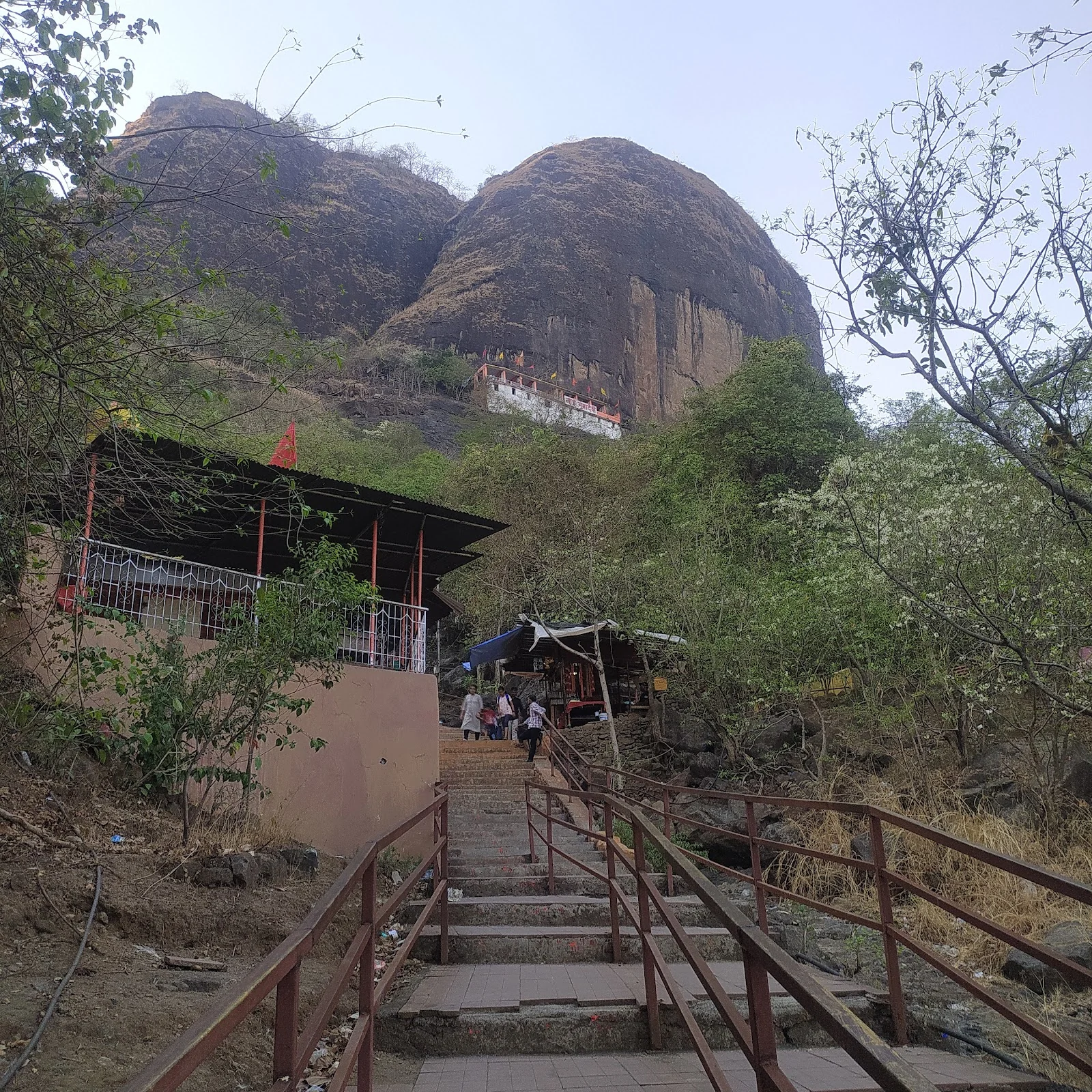 Thane gallery 5