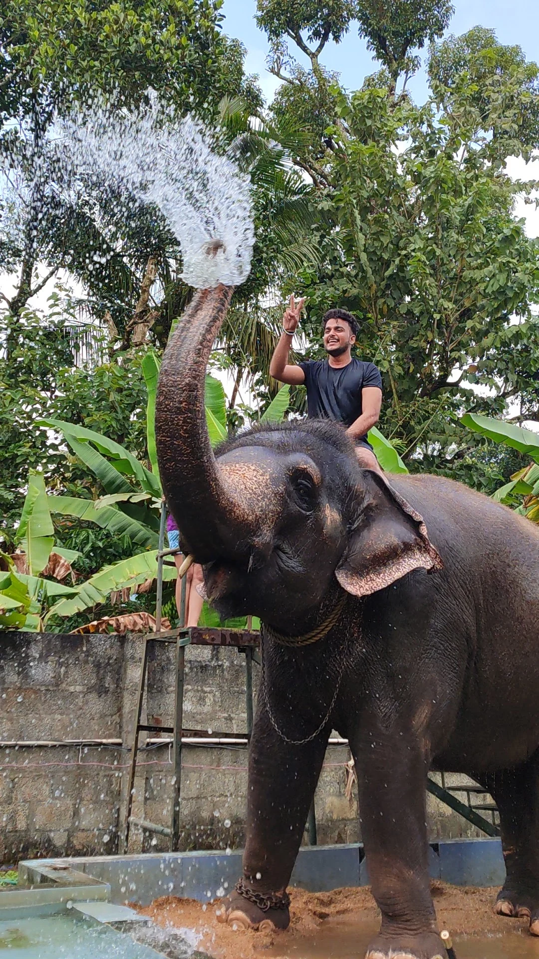 Thekkady gallery 1