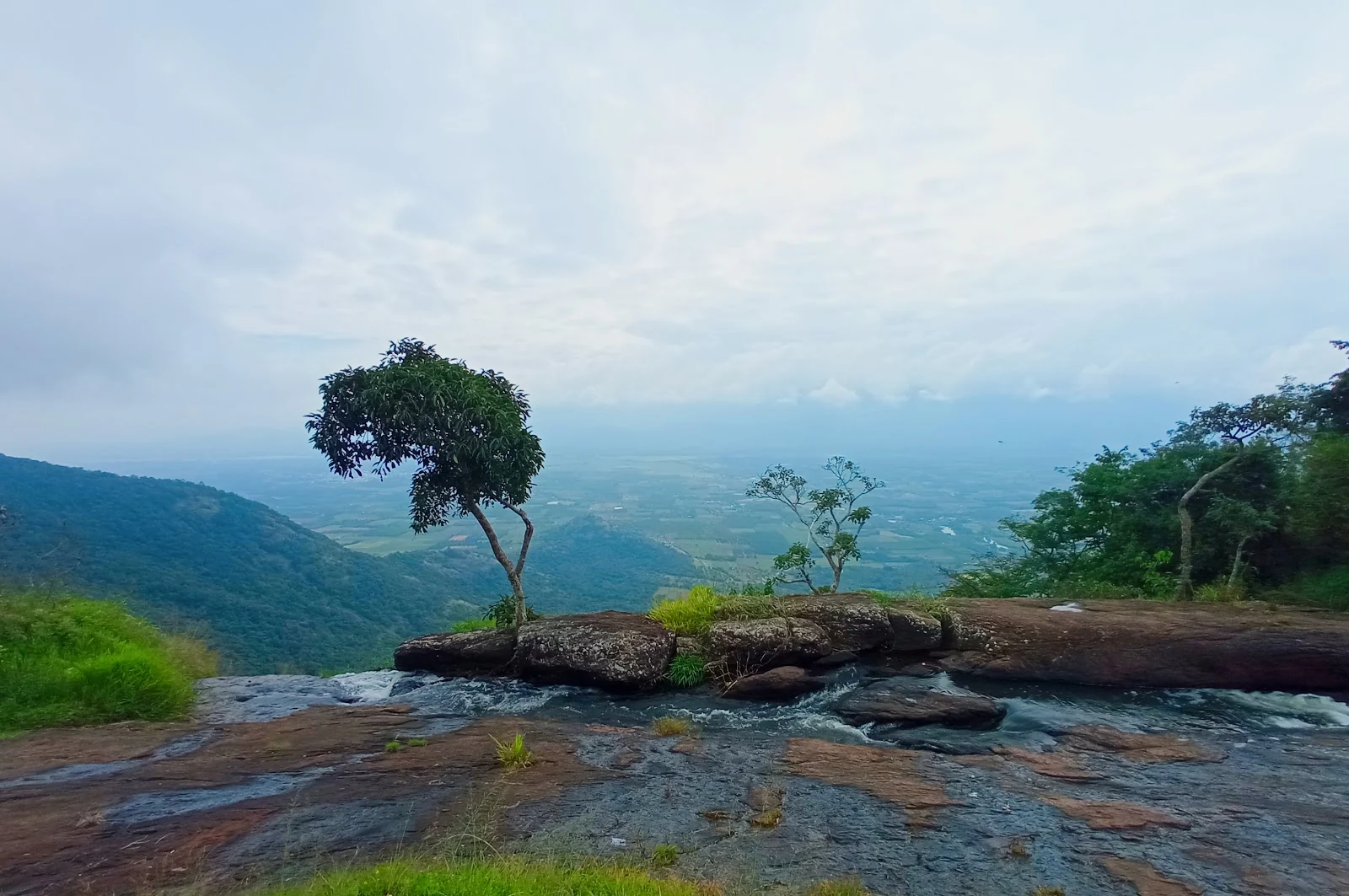 Thekkady gallery 5