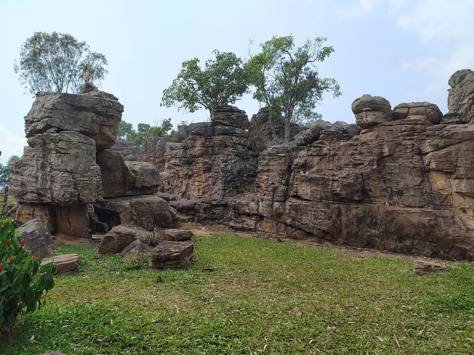 Tirupati gallery 5