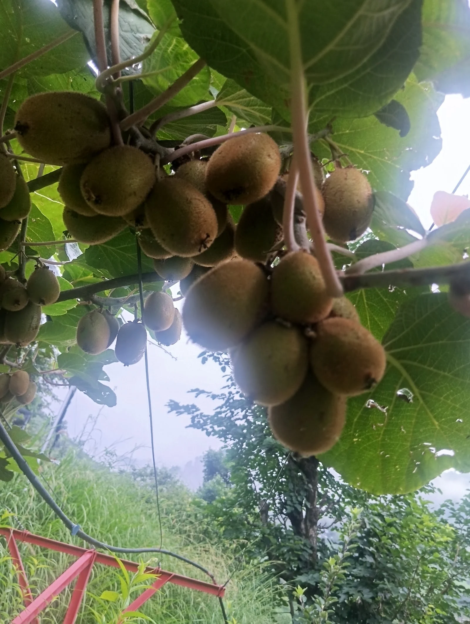 Udhampur gallery 6