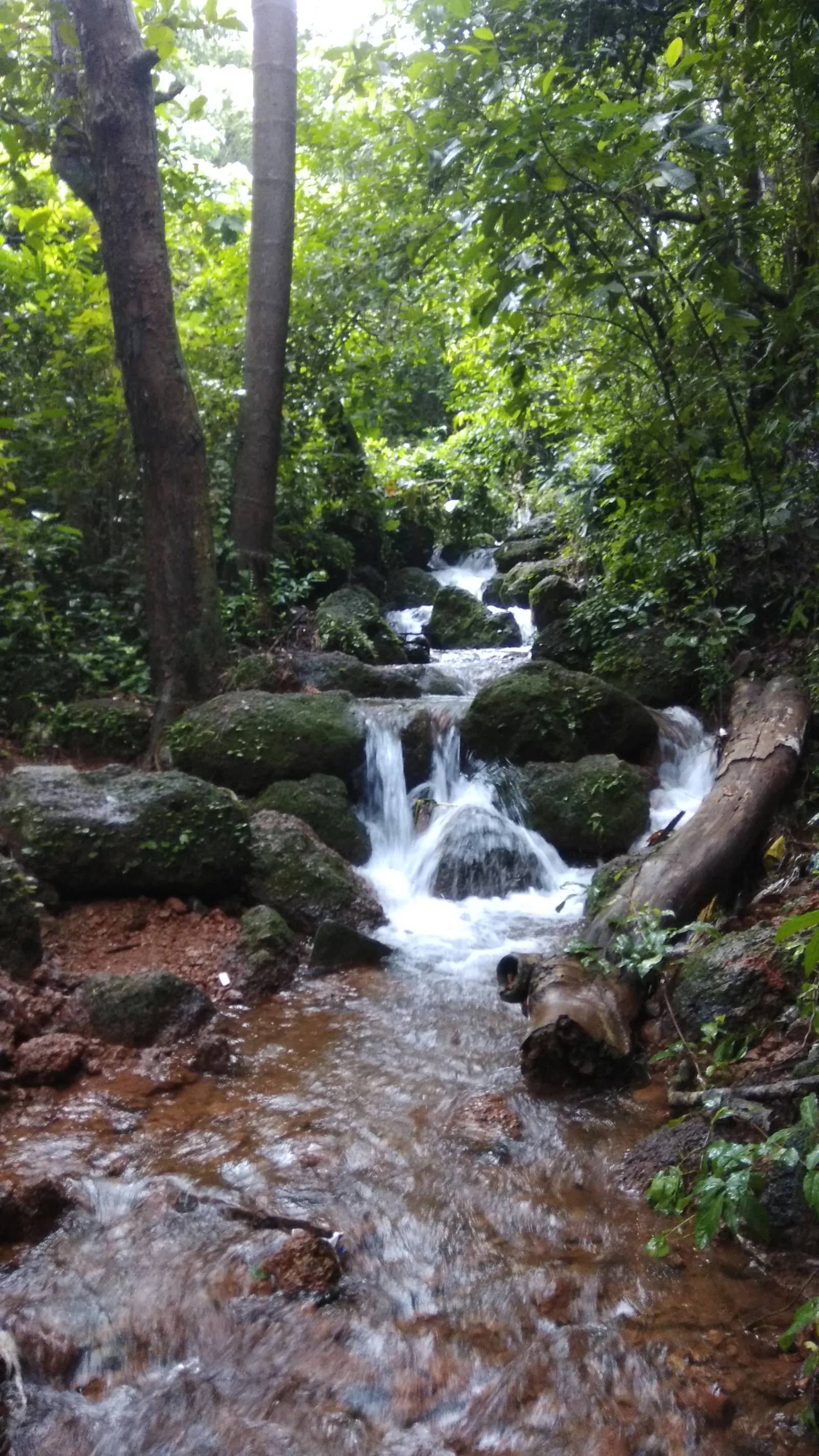 Udupi gallery 7
