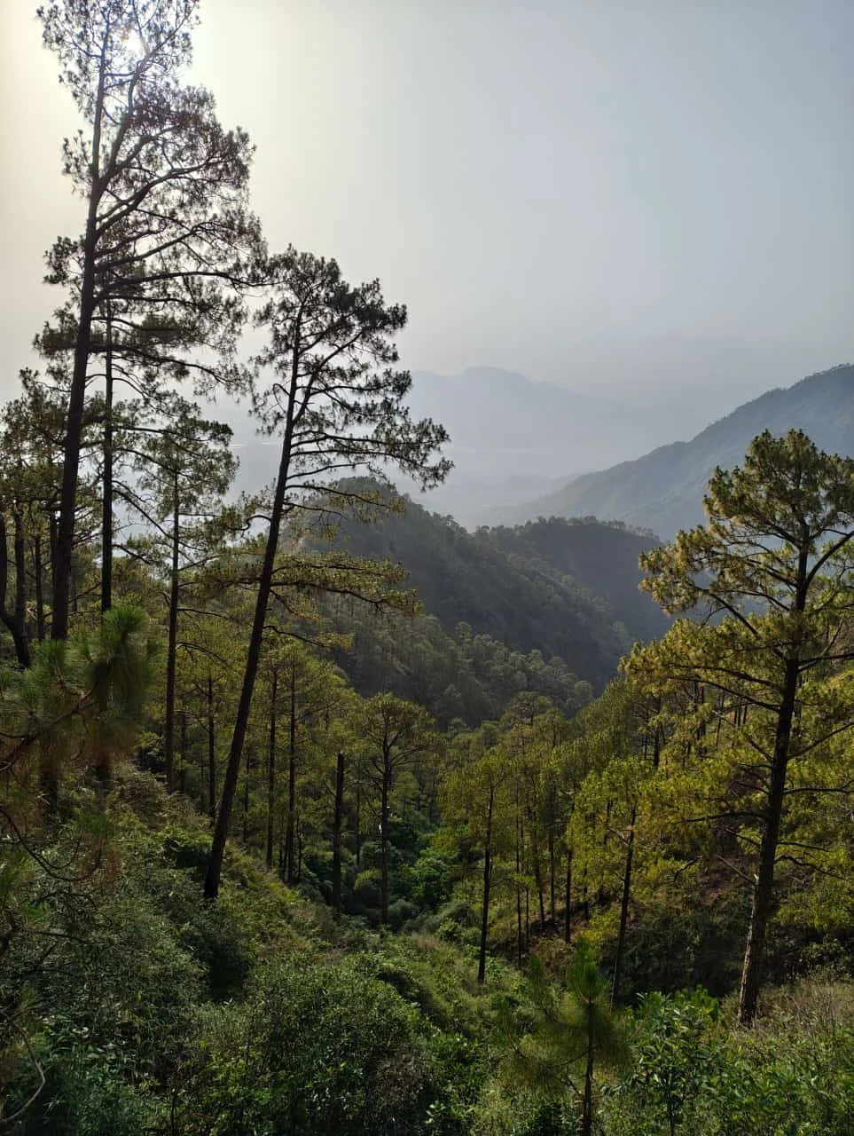 Vaishno Devi gallery 5