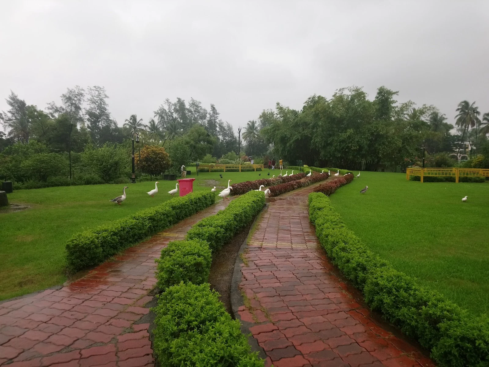 Vapi gallery 5