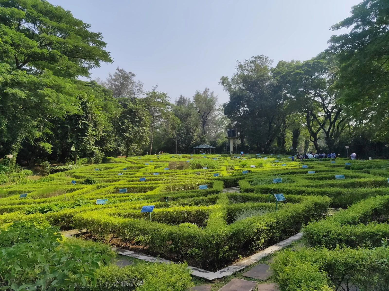 Vapi gallery 6