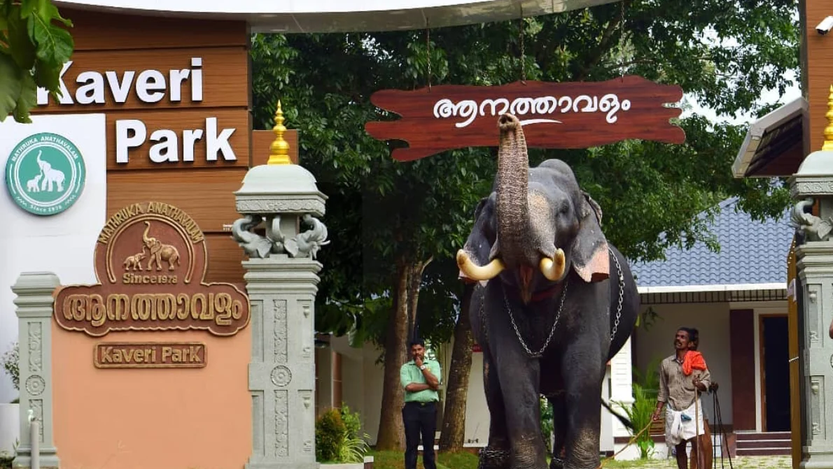 Varkala gallery 5
