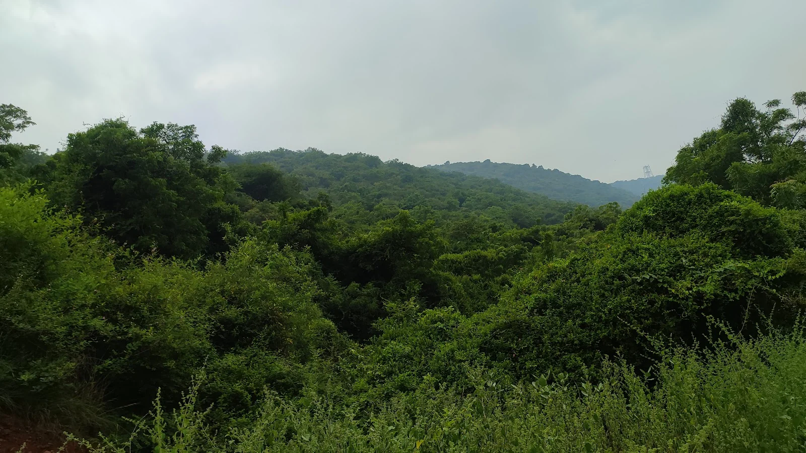 Vijayawada gallery 7