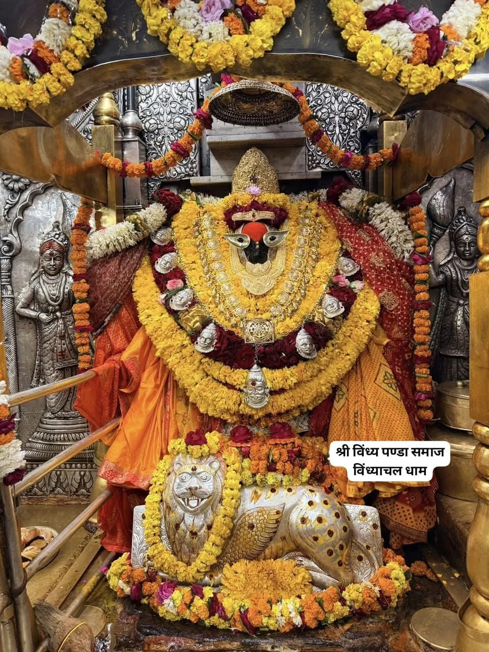 Vindhyachal gallery 9