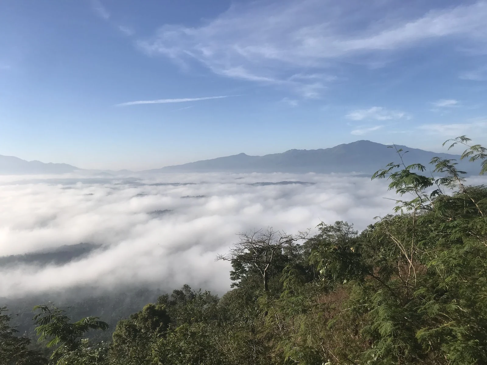 Wayanad gallery 2