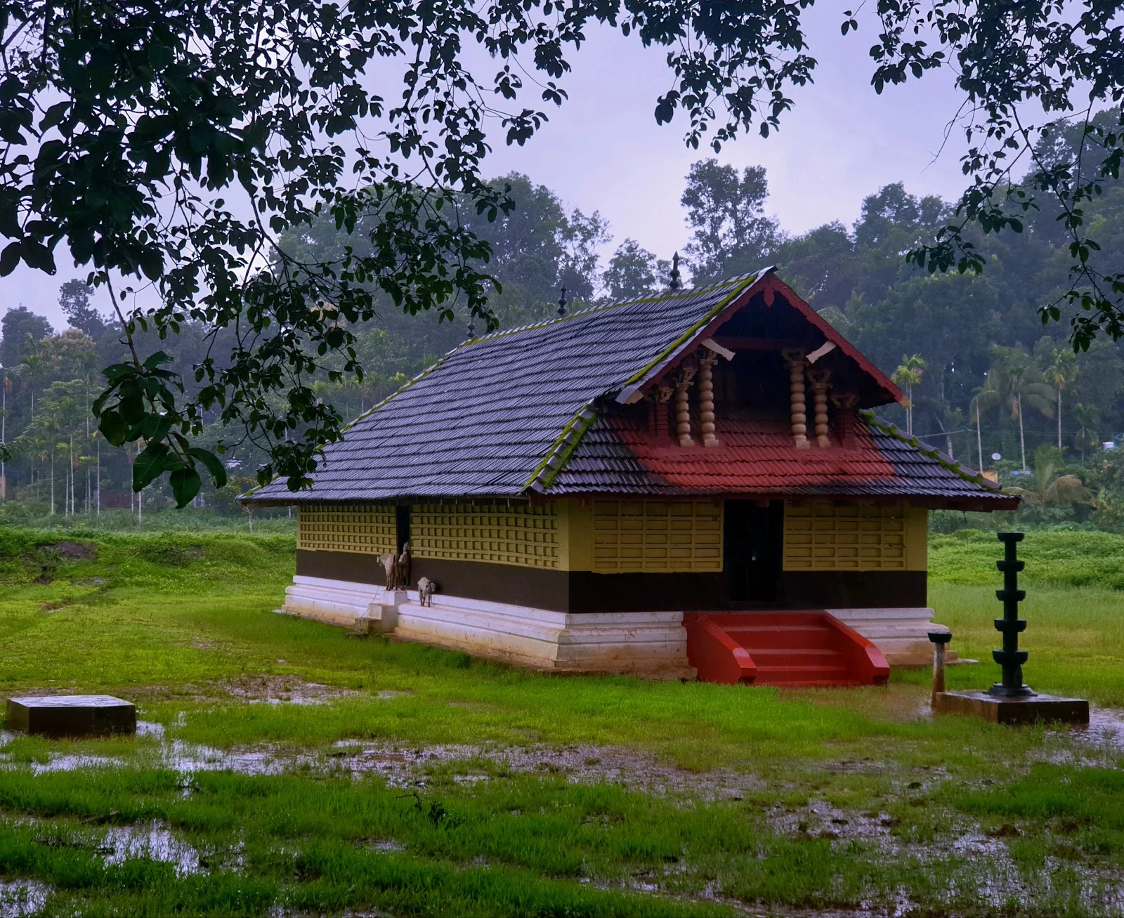 Wayanad gallery 5
