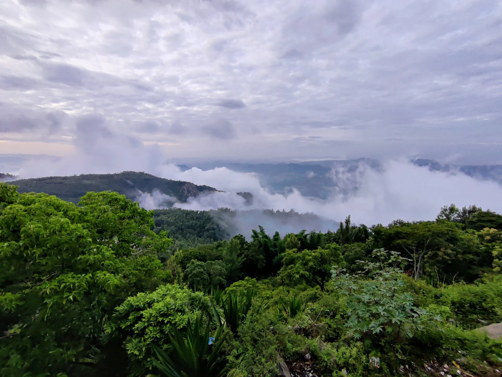 Yercaud gallery 1