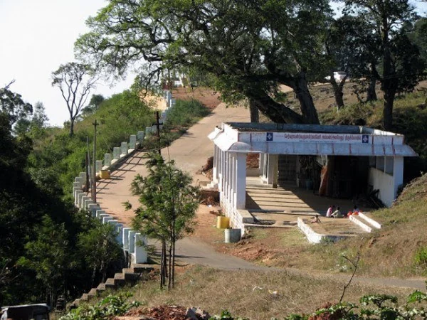 Yercaud gallery 2