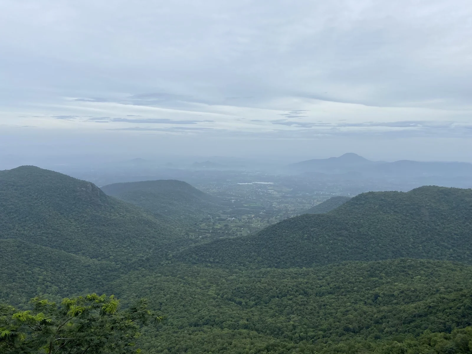 Yercaud gallery 4