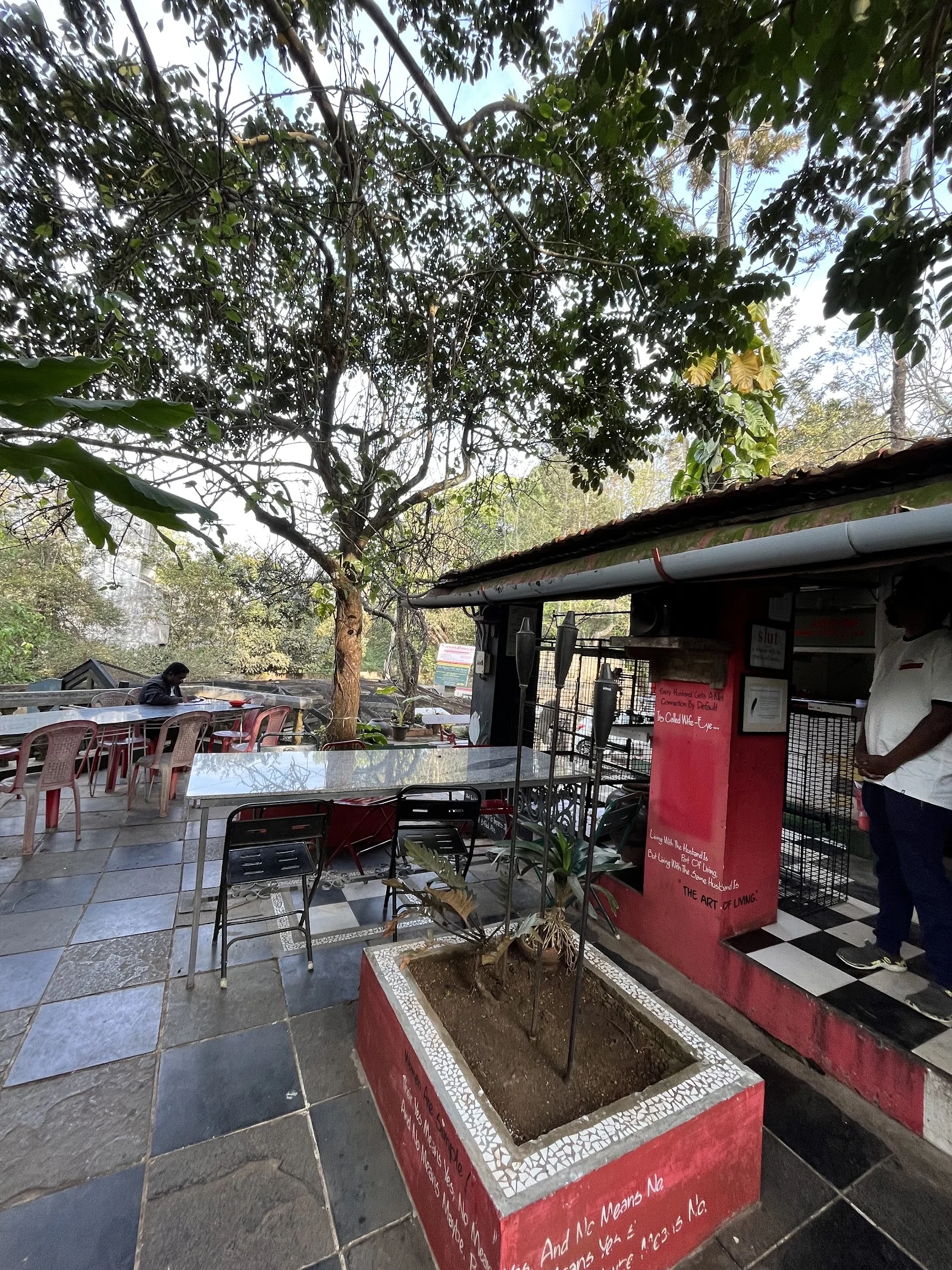 Yercaud gallery 8