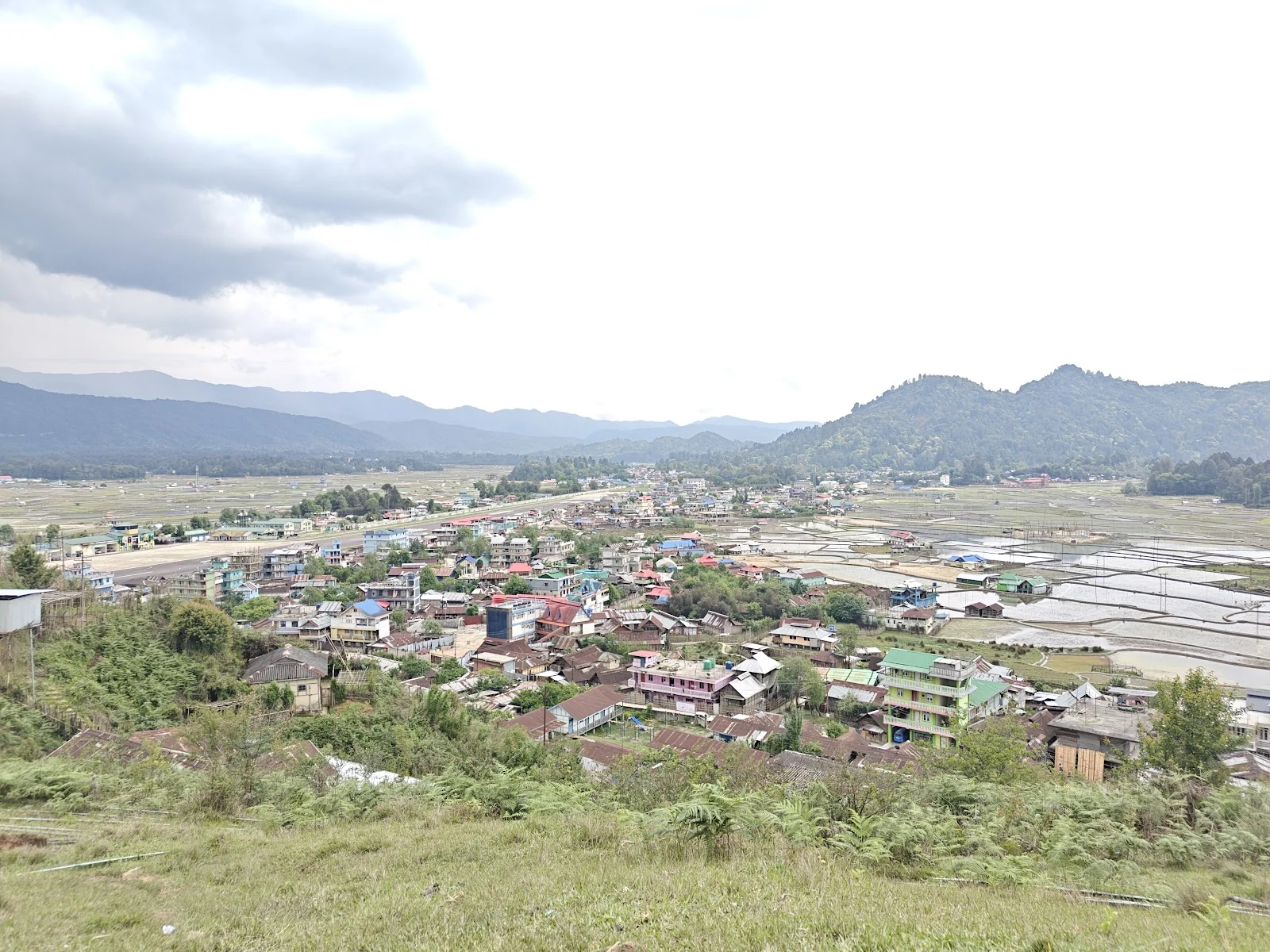 Ziro gallery 2