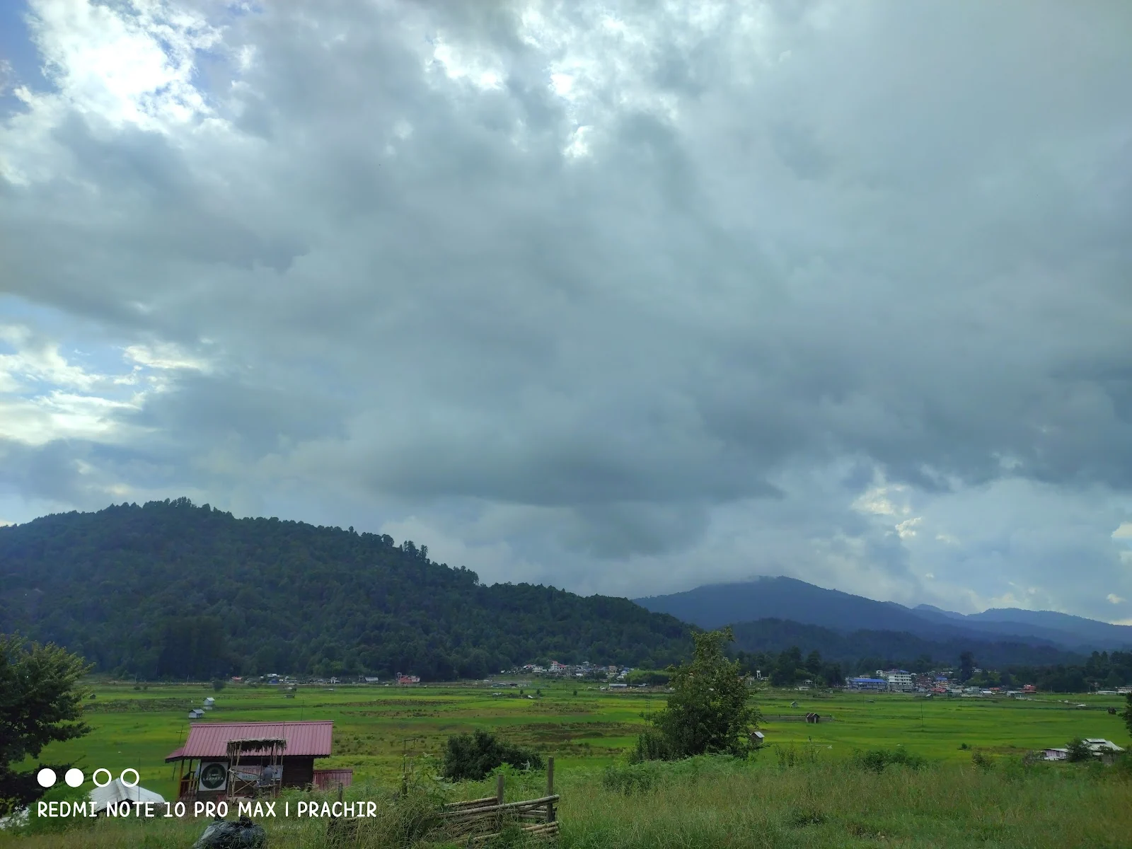 Ziro gallery 3